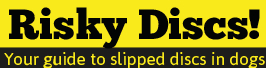 riskydiscs text logo