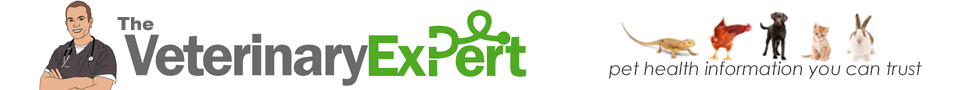 The Veterinary Expert| Pet Health
