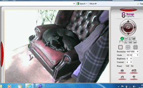Webcam recordings of the dog’s behaviour when no-one is there can be very revealing