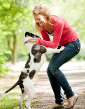 Playing with our pets can help to calm and relax us - one of the many benefits of pets