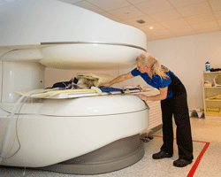 A patient undergoing an MRI scan