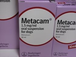 metacam is a nonseterpodal antiinflammatory drug like rimadyl