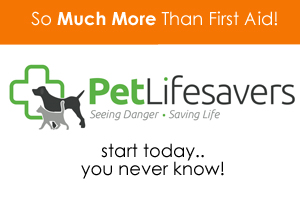 pet lifesavers ad HMP