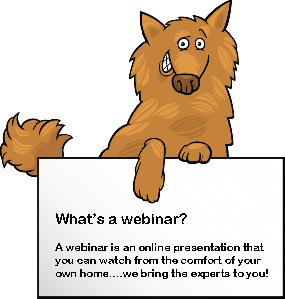 what's a webinar