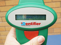 When a microchipped pet is scanned with a handheld scanner, the microchip number is shown on the screen