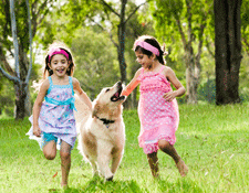 Having a pet can enhance emotional development in children and help in encouraging an active lifestyle