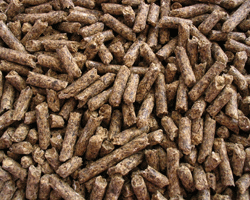 Good quality concentrate pellets can be added to your rabbit's diet