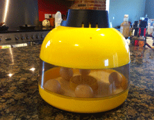 A mini incubator (can be purchased online for around £100)