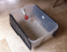 A simple brooder setup. This can be either purchased or home-made