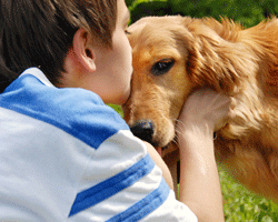 We need to teach our children to respect that their dog may not want to be hugged