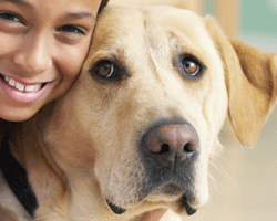 This dog is showing ‘whale’ eye (ie the whites of his eyes are visible), indicating that he is unhappy with the situation